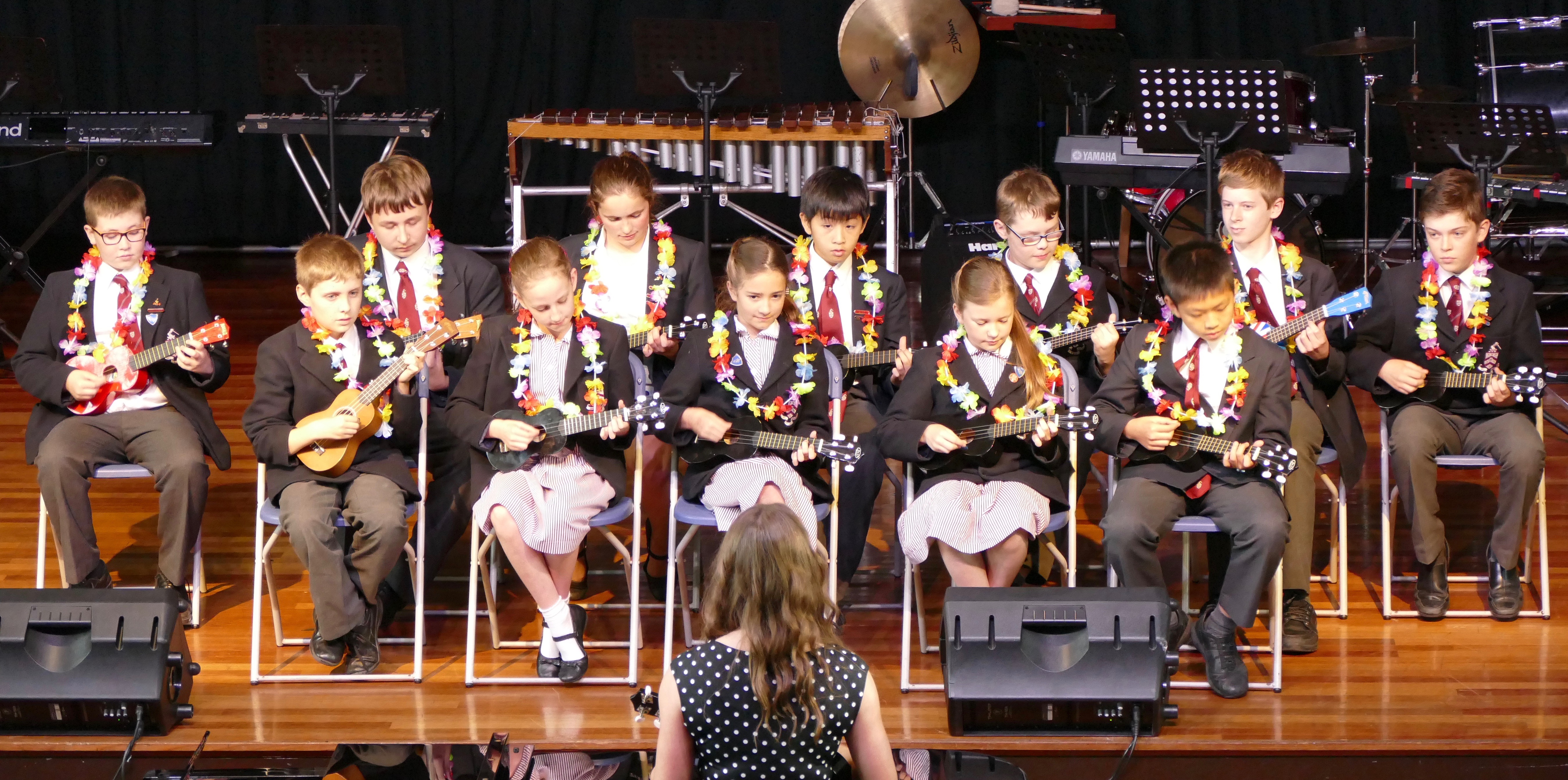 Summer Concert, 17th June 2016